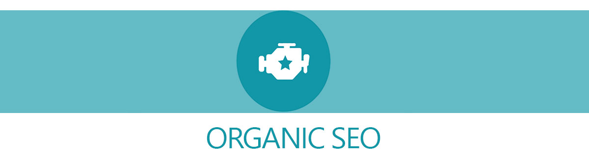 Organic SEO